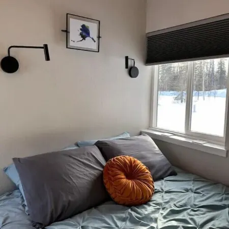 Talkeetna Tiny House Cabin Aspen Fire-pit/ski/bike/multi-use trails