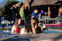 Mawo Luxury Boutique - Villas