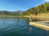 Buffalo Cabin -charming Alpine retreat w/ king bed Hotels in Alpine