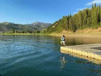 Buffalo Cabin -charming Alpine retreat w/ king bed Hotels in Alpine