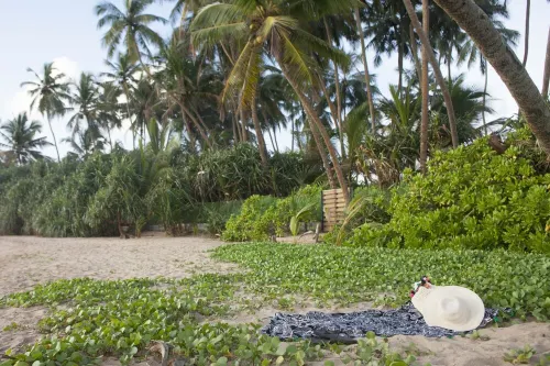 Beachfront villa with pool and full staff