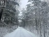 Cottage on Georgian Bay, Severn, Honey Horbour Hotels in Georgian Bay