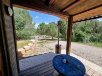 CAL MASSES COME TO DISCONNECT IN THE MIDDLE OF NATURE