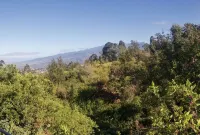 Le Nid Perché du Petit-tampon Hotels in Le Tampon