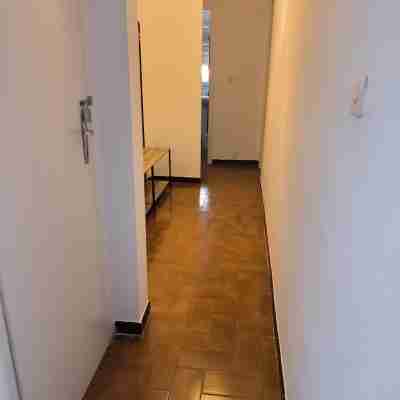 Apartment rental Propriano Others