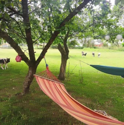 Relaxation in nature, plenty of outdoor space, hiking trails, Jacob sheep and more Hotels in Battenhausen