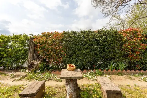 The little Magician's secret corner