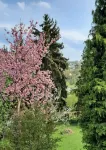 Birstein in the Vogelsberg Beautiful 70 square meter apartment good for 2 adults + children