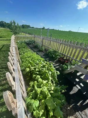 As Seen on HGTV - City Escape Ranch with Sauna, Gym & Soul-Soothing Vibes Hotels in der Nähe von Blue Mound State Park - West Observation Tower