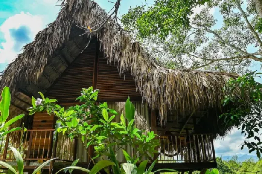Cozy Cabin Nestled in Bamboo Forest