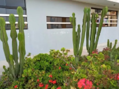 Beautiful New Appartment fully furnished for your Confort!