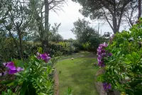 Rustic Gallurese Hotel in zona Costa Paradiso