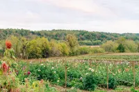 Flower Farm 3BR/2BA Mid-Century Farmhouse Near Mammoth Cave