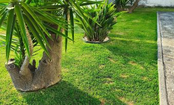 Esposende Charming Villa With Garden