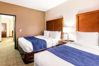 Comfort Inn & Suites IAH Bush Airport - East - Cheap