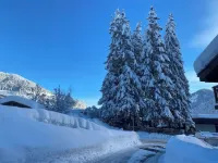 Charming renovated chalet-style apartment