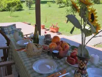 Farmhouse in Apecchio with Mountain Views