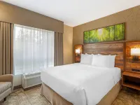 Best Western Plus Valemount Inn  Suites Hotels in Valemount