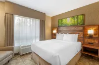 Best Western Plus Valemount Inn  Suites Hotel a Valemount