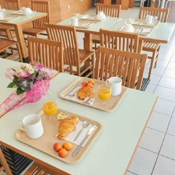 Séjours & Affaires Tours Léonard de Vinci