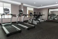 Holiday Inn OWENSBORO RIVERFRONT by IHG - salle de sport
