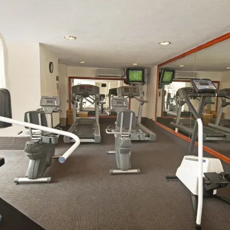 Fiesta Inn Toluca Tollocan