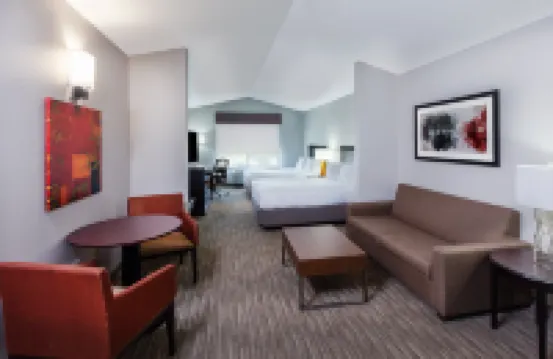 Holiday Inn Express & Suites SHREVEPORT SOUTH - PARK PLAZA by IHG