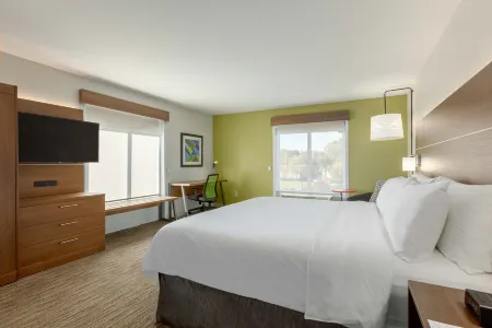 Holiday Inn Express & Suites Binghamton University-Vestal
