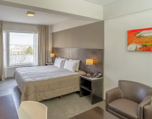 Hotel Neu 354 Hotels in Neuquen