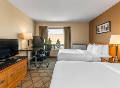 Comfort Inn South