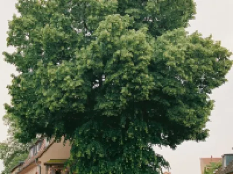 Gartenhaus Hotéis em Werder