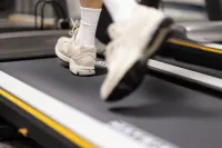 Hôtel de Charme le Chêne Vert - Gym