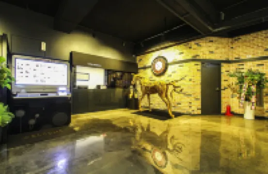 五月大道酒店 驪州市酒店