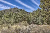 Quiet Big Bear City Cabin w/ Loft: 5 Mi to Village - Wifi