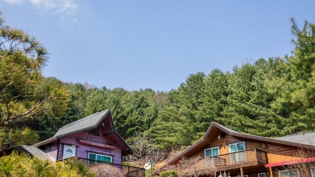 옐로우스톤펜션