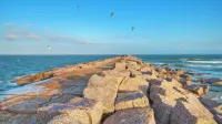 Walk to Shops, Near Dining & Beach Central Port A Location Casa Coconut by Avantstay