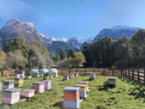 Domo Valle El Encanto Peulla