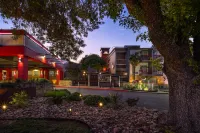 Aiden by Best Western @ Austin City Hotel - 4-Star