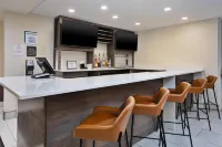 Hilton Garden Inn Chesapeake/Greenbrier - bar