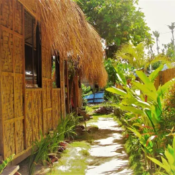 Siargao Tropic Hostel