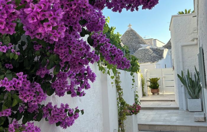 Montesanto 60 Suite & Relax Alberobello