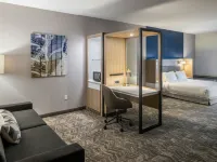 SpringHill Suites Canfield Hotels in Canfield Township