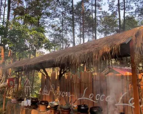 Locca Lodge Hotels in Trawas