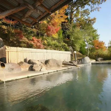 Oogi Onsen Oogiso