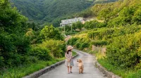Sara&forest Pension Mungyeong - Mountain view