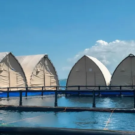 Reef Resort - Samal Island View Unit B9