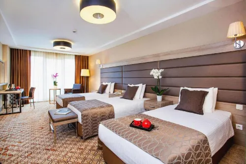 Hotel Amic Gala - Thân thiện với thú cưng