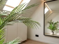 Pet-friendly Stay in Hamont-achel - appartements de vacances