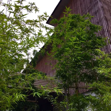 Ryokan Tamanoyu