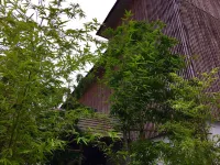 Ryokan Tamanoyu - Hot Springs